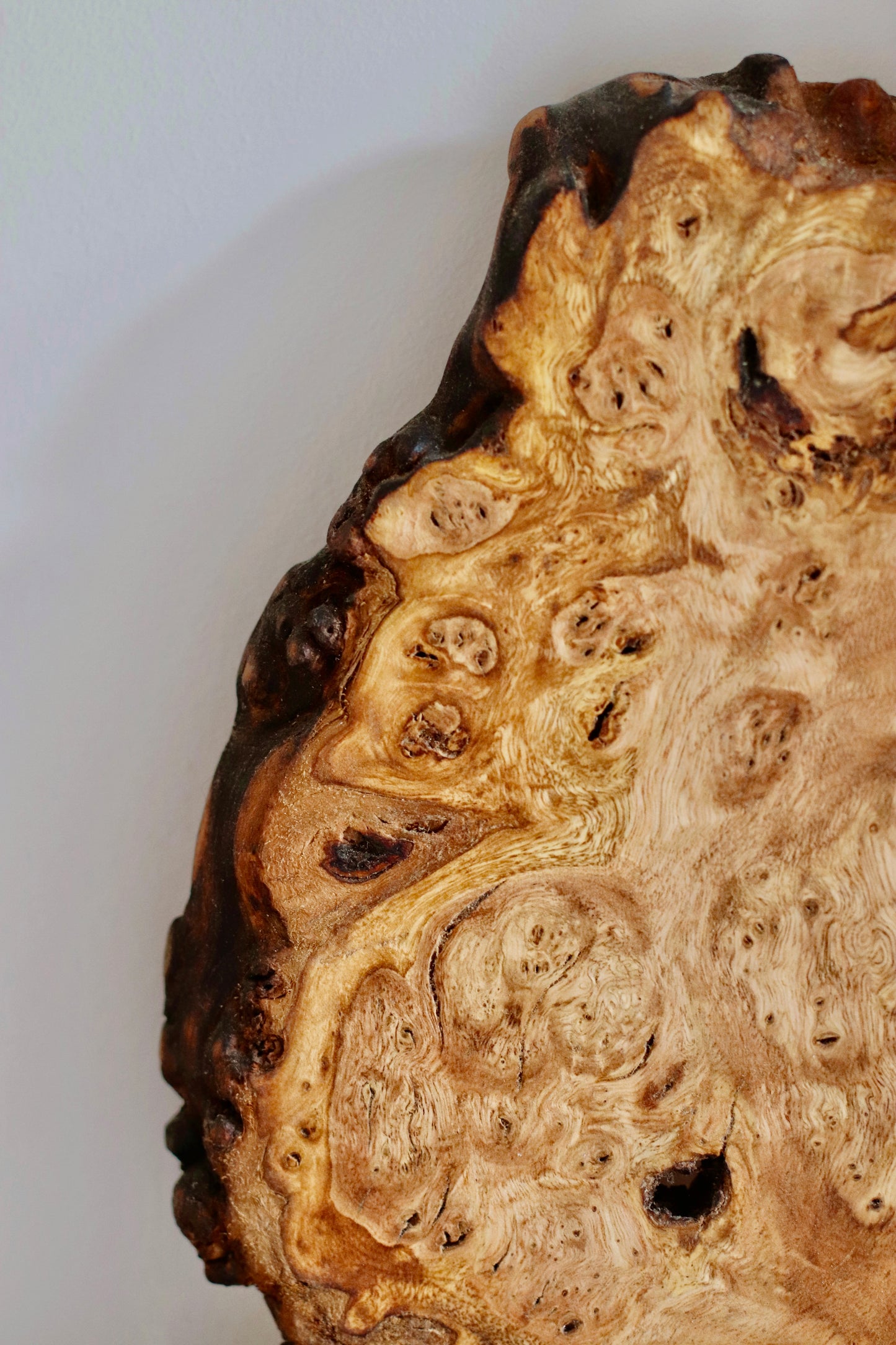 Chestnut Burr Wall Art