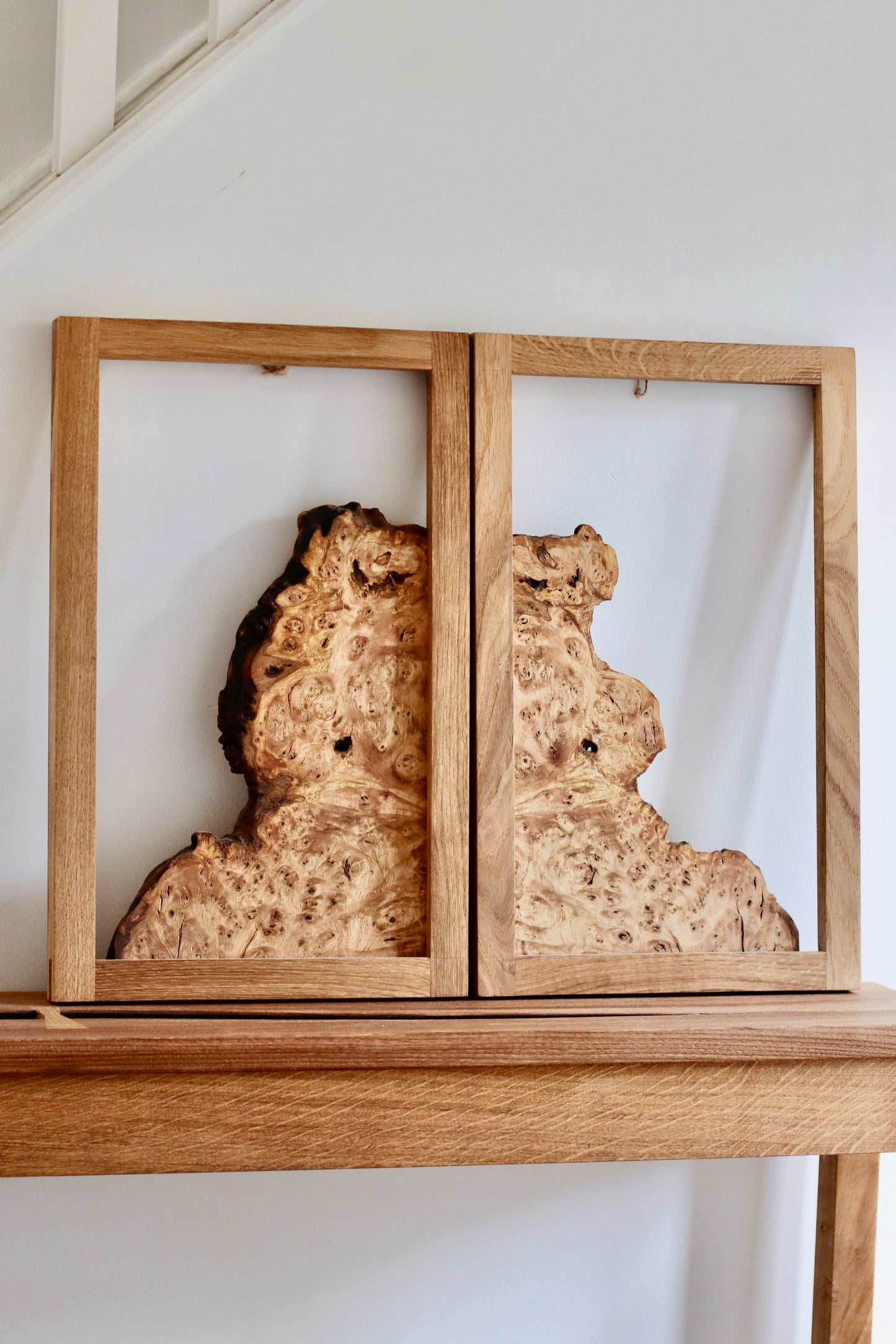 Chestnut Burr Wall Art