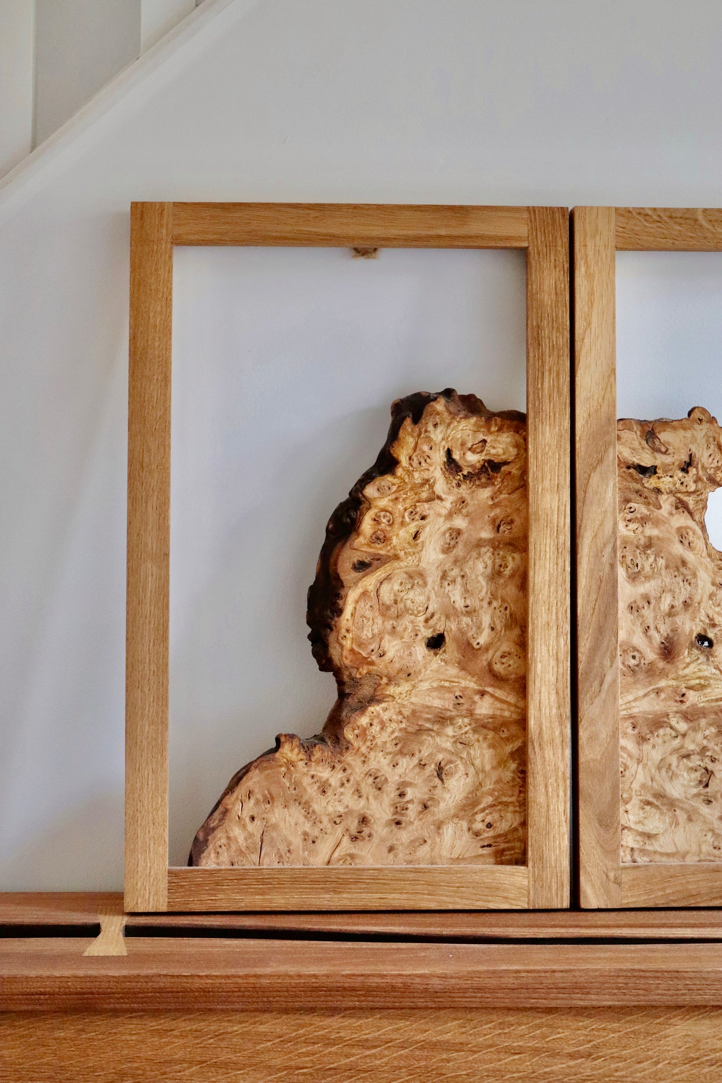 Chestnut Burr Wall Art