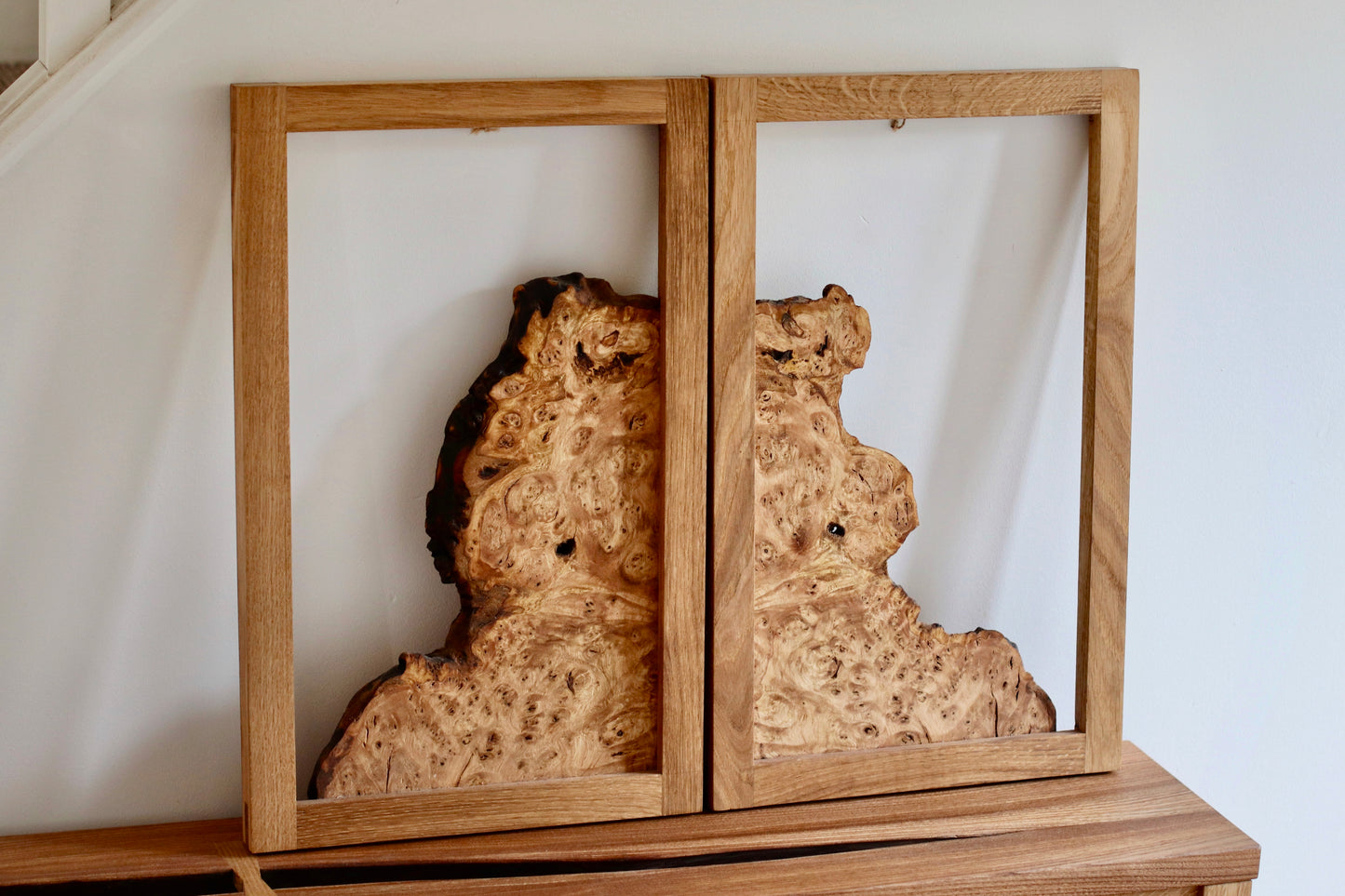 Chestnut Burr Wall Art