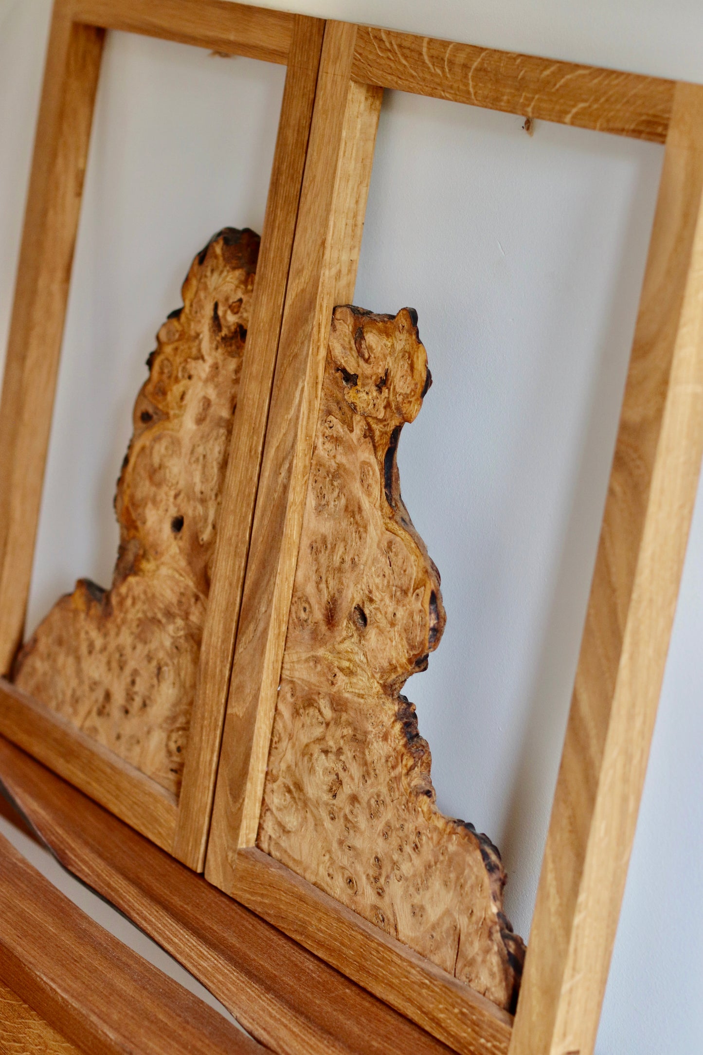 Chestnut Burr Wall Art