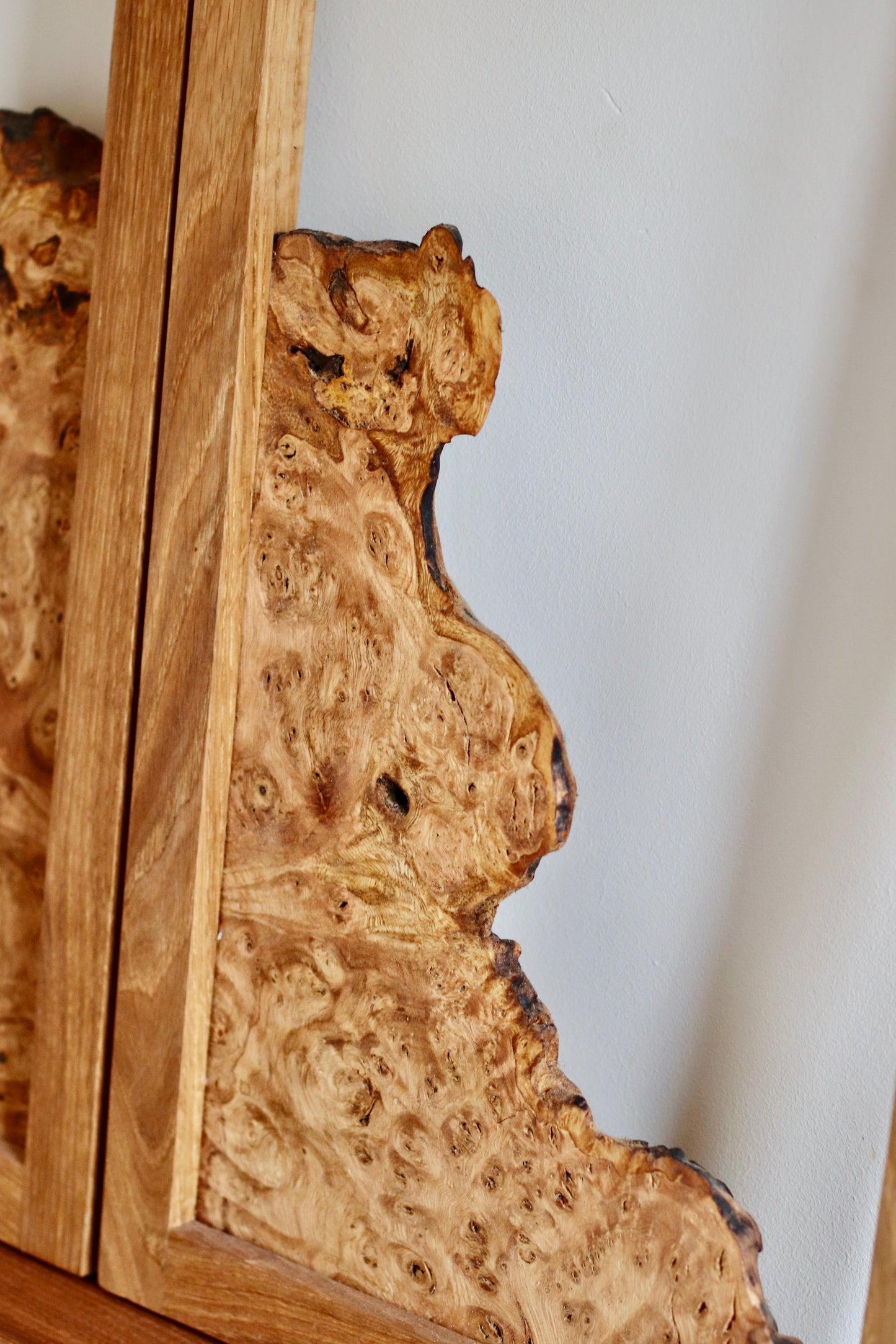 Chestnut Burr Wall Art