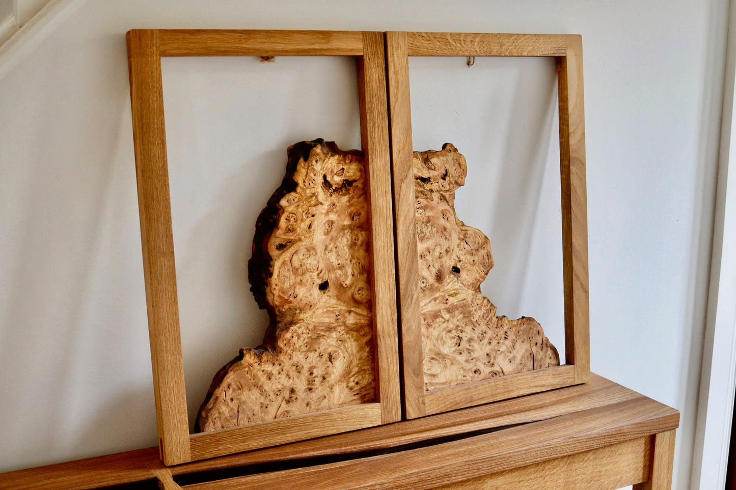 Chestnut Burr Wall Art